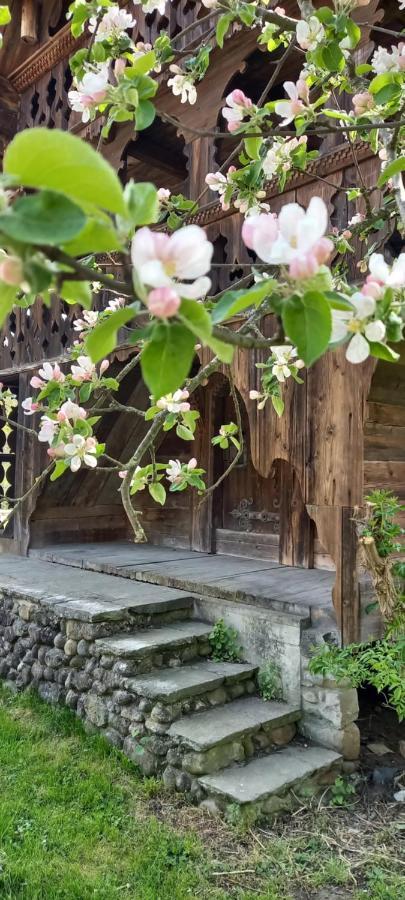 Emme Lodge Langnau Zewnętrze zdjęcie
