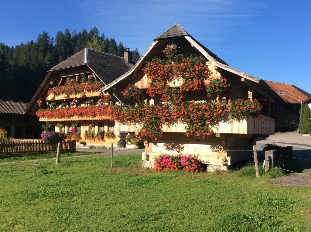 Emme Lodge Langnau Zewnętrze zdjęcie