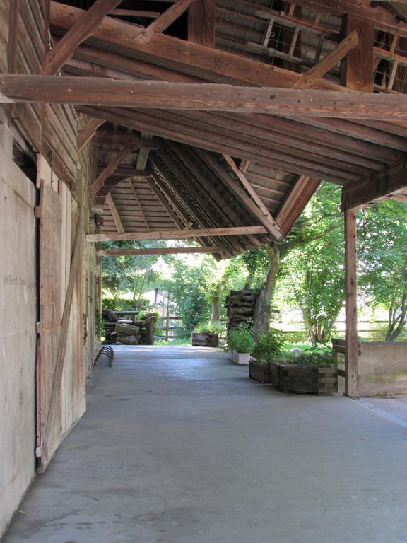 Emme Lodge Langnau Zewnętrze zdjęcie