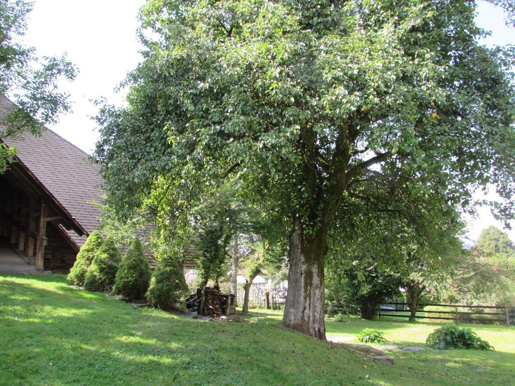 Emme Lodge Langnau Zewnętrze zdjęcie